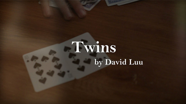 Twins by David Luu - Video - DOWNLOAD