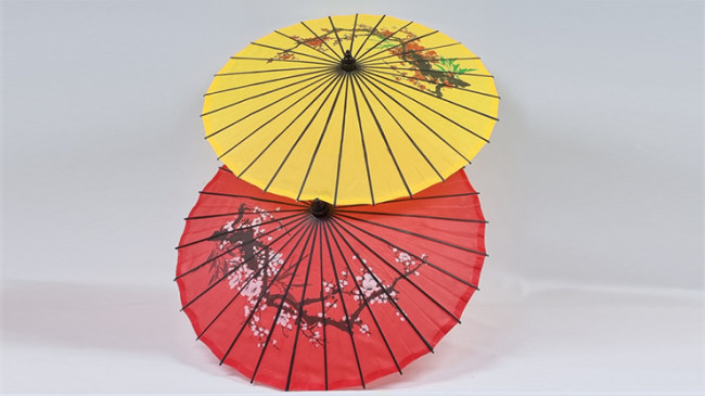 Umbrella From Bandana Set (random color for umbrella) by JL Magic