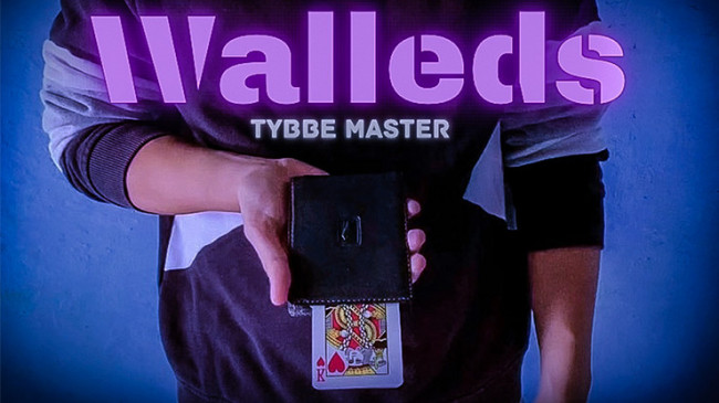 Walleds by Tybbe Master - Video - DOWNLOAD