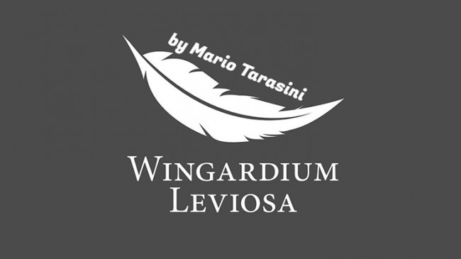 Wingardium Leviosa by Mario Tarasini - Video - DOWNLOAD