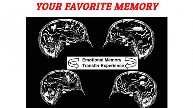 Your Favorite Memory by Dustin Marks - Video - DOWNLOAD