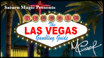 Las Vegas Gambling Guide by Matthew Pomeroy - Buch