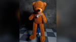 Teddy Bear Appearance (Extra Large) by MS Magic